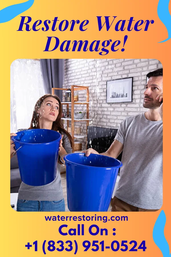 water restoration Horizon Flood Damage Company Snow Hill