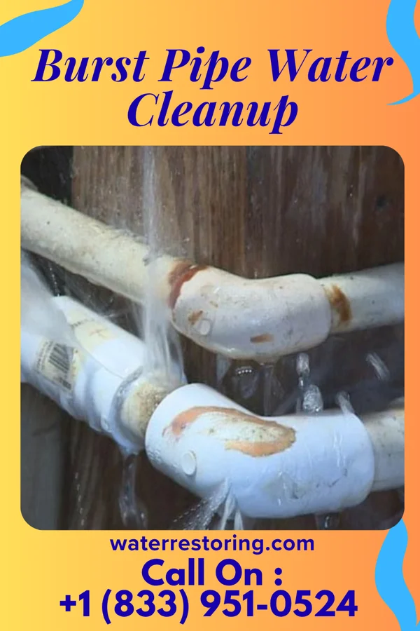 Burst Pipe Water Cleanup in Snow Hill, MD