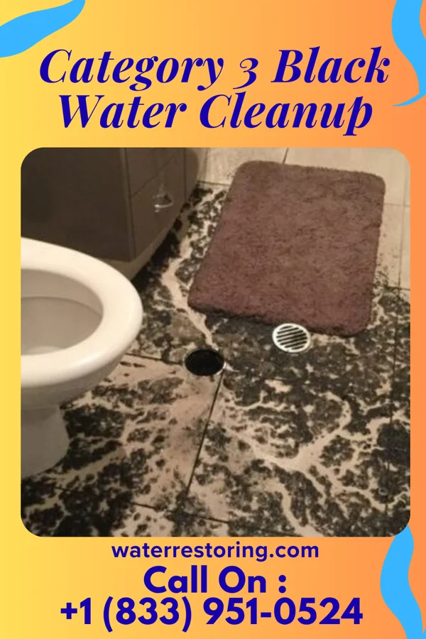 Category 3 Black Water Cleanup in Snow Hill, MD
