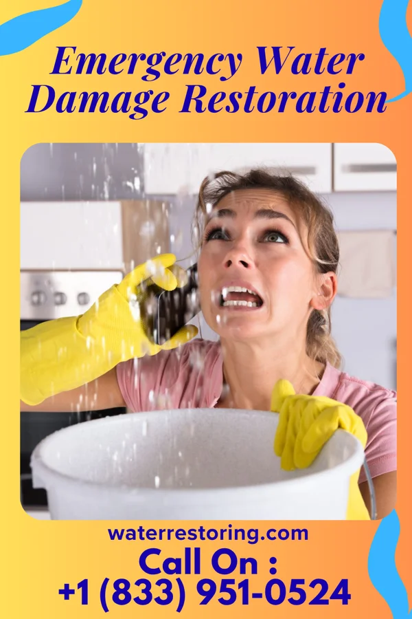 Emergency Water Damage Restoration in Snow Hill, MD