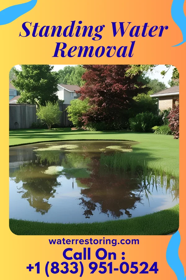 Standing Water Removal in Snow Hill, MD